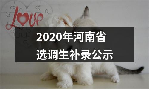 2020年河南省选调生补录公示 图片