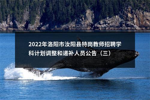 2022年洛阳市汝阳县特岗教师招聘学科计划调整和递补人员公告（三） 图片