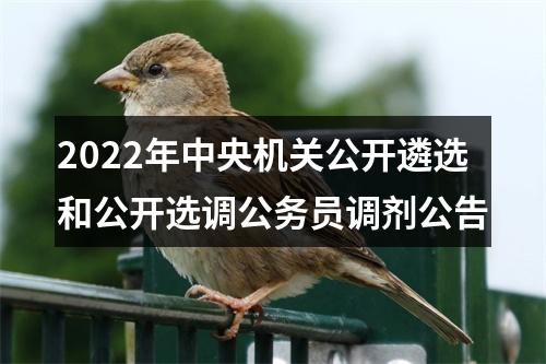 2022年中央机关公开遴选和公开选调公务员调剂公告 图片