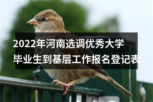 2022年河南选调优秀大学毕业生到基层工作报名登记表 图片