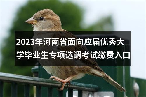 2023年河南省面向应届优秀大学毕业生专项选调考试缴费入口 图片