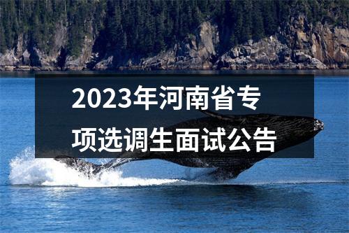 2023年河南省专项选调生面试公告 图片