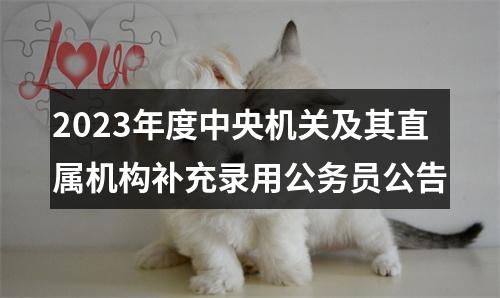 2023年度中央机关及其直属机构补充录用公务员公告 图片