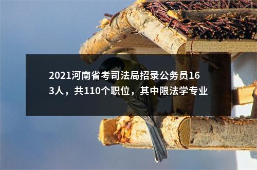 2020年河南省文联统一考试录用公务员面试公告 图片