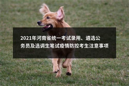 2021年河南省统一考试录用、遴选公务员及选调生笔试疫情防控考生注意事项 图片