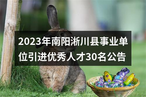 2023年南阳淅川县事业单位引进优秀人才30名公告 图片