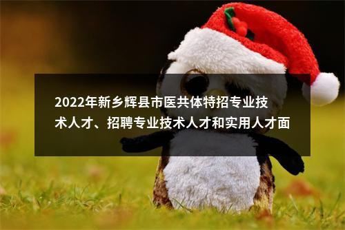 2022年新乡辉县市医共体特招专业技术人才、招聘专业技术人才和实用人才面试公告(三） 图片